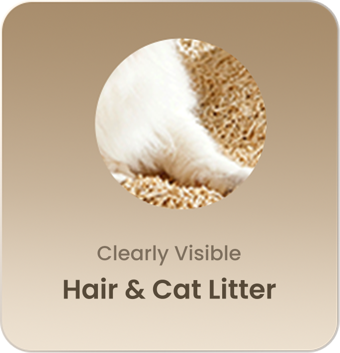 Clearly Visible Hair & Cat Litter