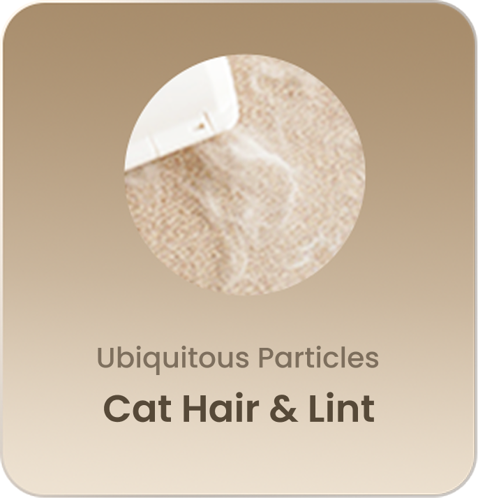 Ubiquitous Particles Cat Hair & Lint