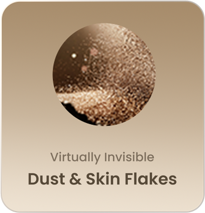 Virtually Invisible Dust & Skin Flakes